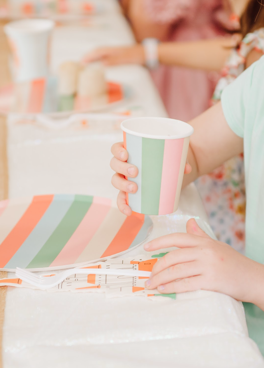 Striped Plates | Bright Bold Party Paper Plates Every Occasion (x 12)