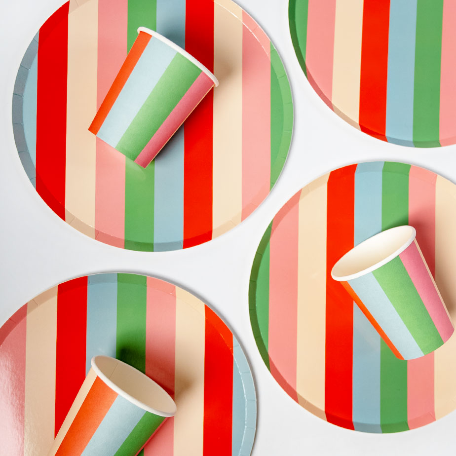 Striped Plates | Bright Bold Party Paper Plates Every Occasion (x 12)