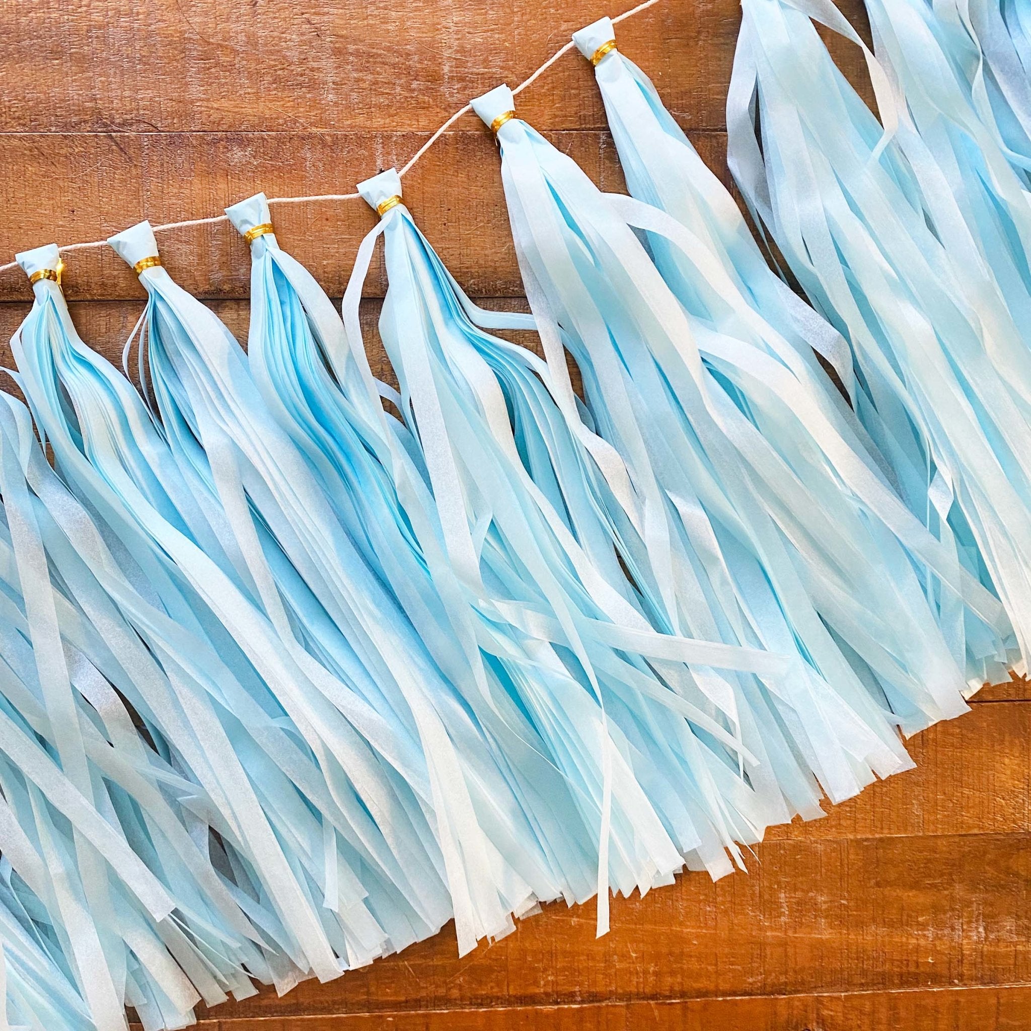 Paper Tassel Kit